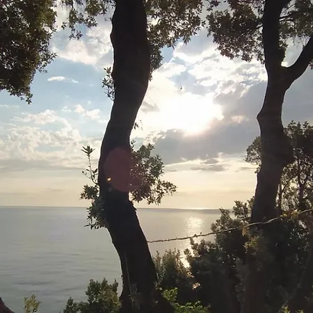 το λιμανάκι 3* Χορευτό