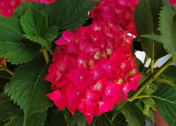 To Limanaki 3* Chorefton